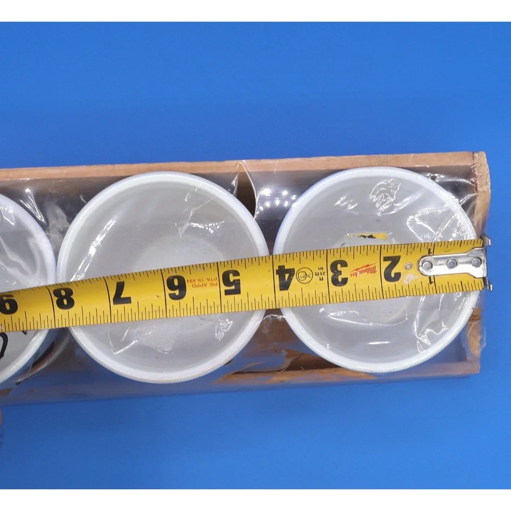 Set of 3 Ceramic Planters Pots Decorative Fish Design with Wooden Tray
